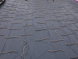 EFH Bodenplatte einschalen, armieren und betonieren. Betonwände einschalen, armieren und betonieren.